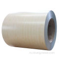 PPGI SGCC Color Coted Covered Colvanied Coll Roll